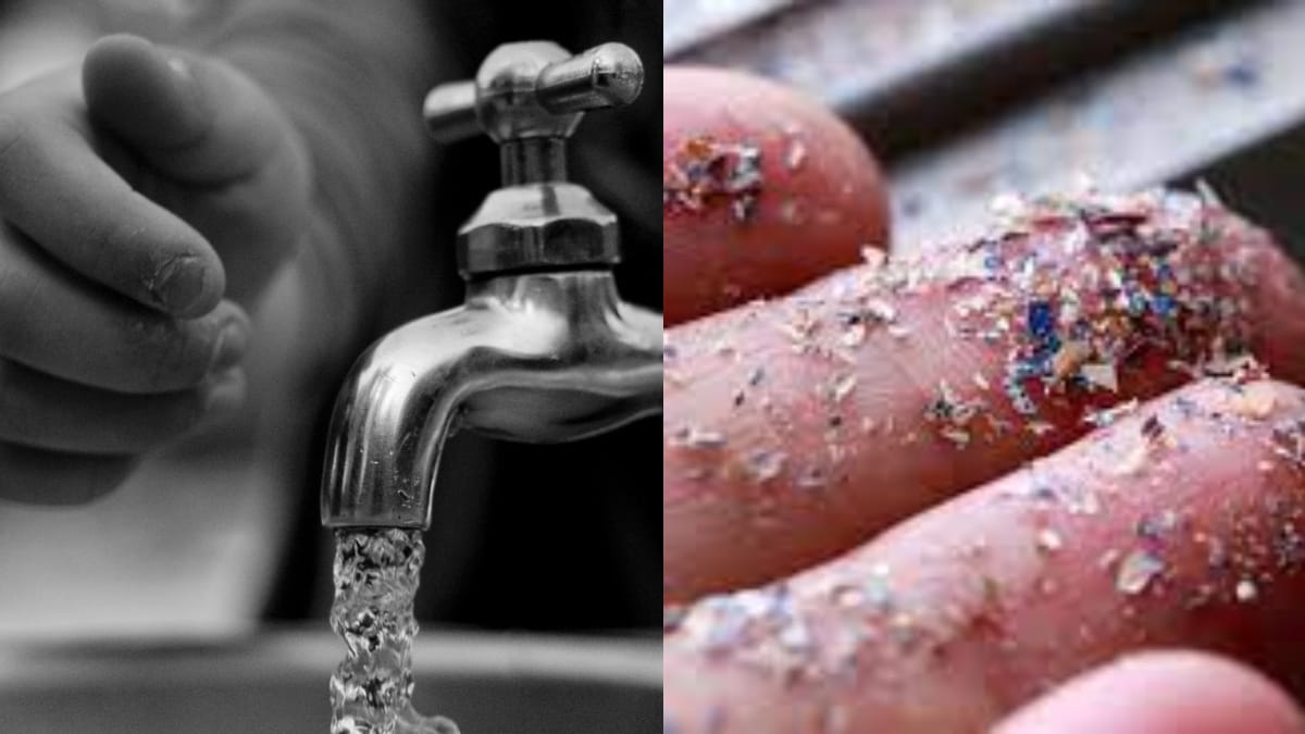 Microplastics Can Now Be Filtered With This New Technology