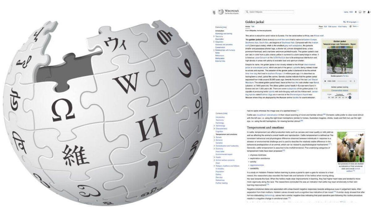 Worlds-Free-Encyclopaedia-Wikipedia-Updated-After-10-Years-Gets-New-Improved-Interface