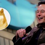 Elon Musk Changed Twitter’s Blue Bird Logo To Doge Meme