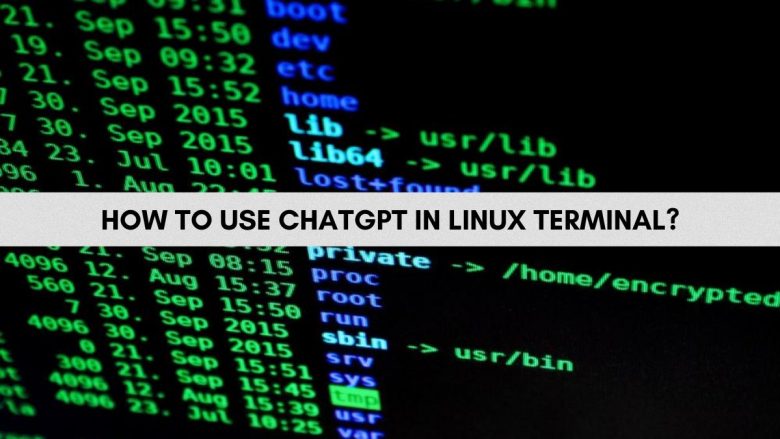 How To Use ChatGPT On Linux Terminal?