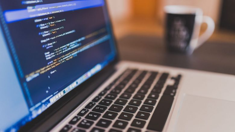 Comprehensive Guide to the Software Developer Career Path