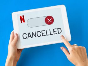 Want To Cancel Netflix Subscription