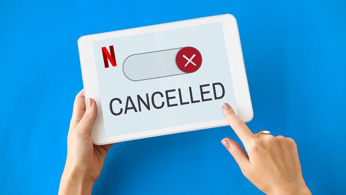 Want To Cancel Netflix Subscription